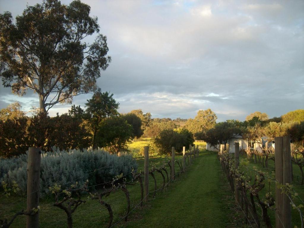 Southern Vales Bed & Breakfast Mclaren Vale Exterior foto