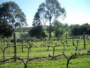 Southern Vales Bed & Breakfast Mclaren Vale Exterior foto
